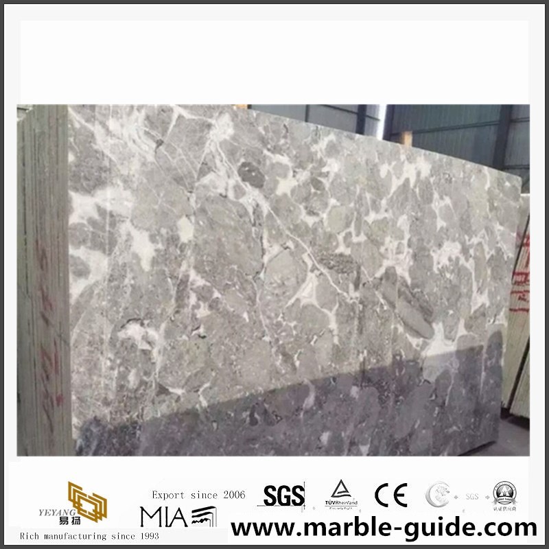 blue-savoy-marble-polished-grey-marble-slab2.jpg info-1-1